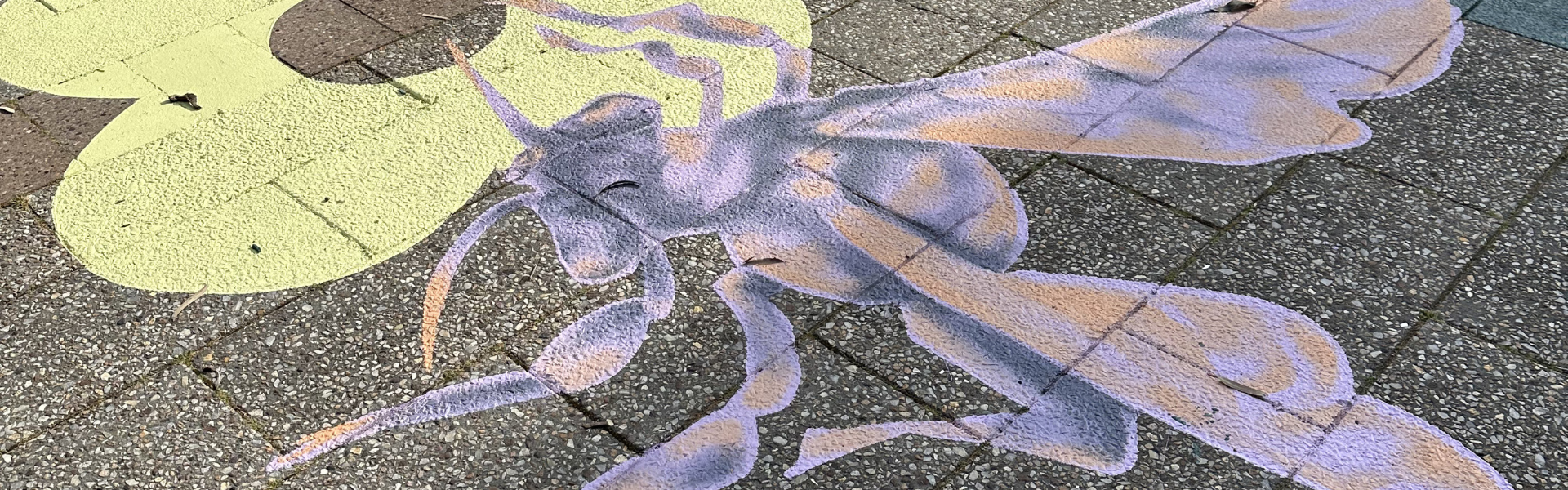 Banner image Mary Davies floor mural