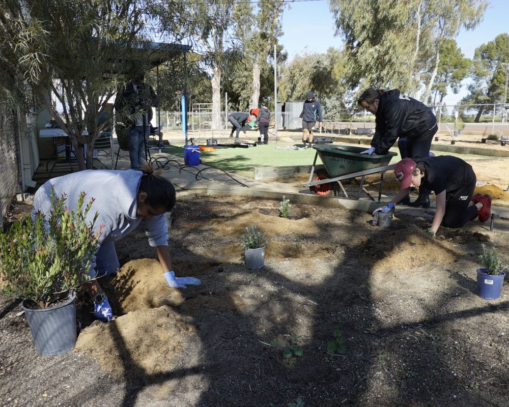 Volunteers help revitalise the outside of the new KTY Youth Hub, planting and building new equipment