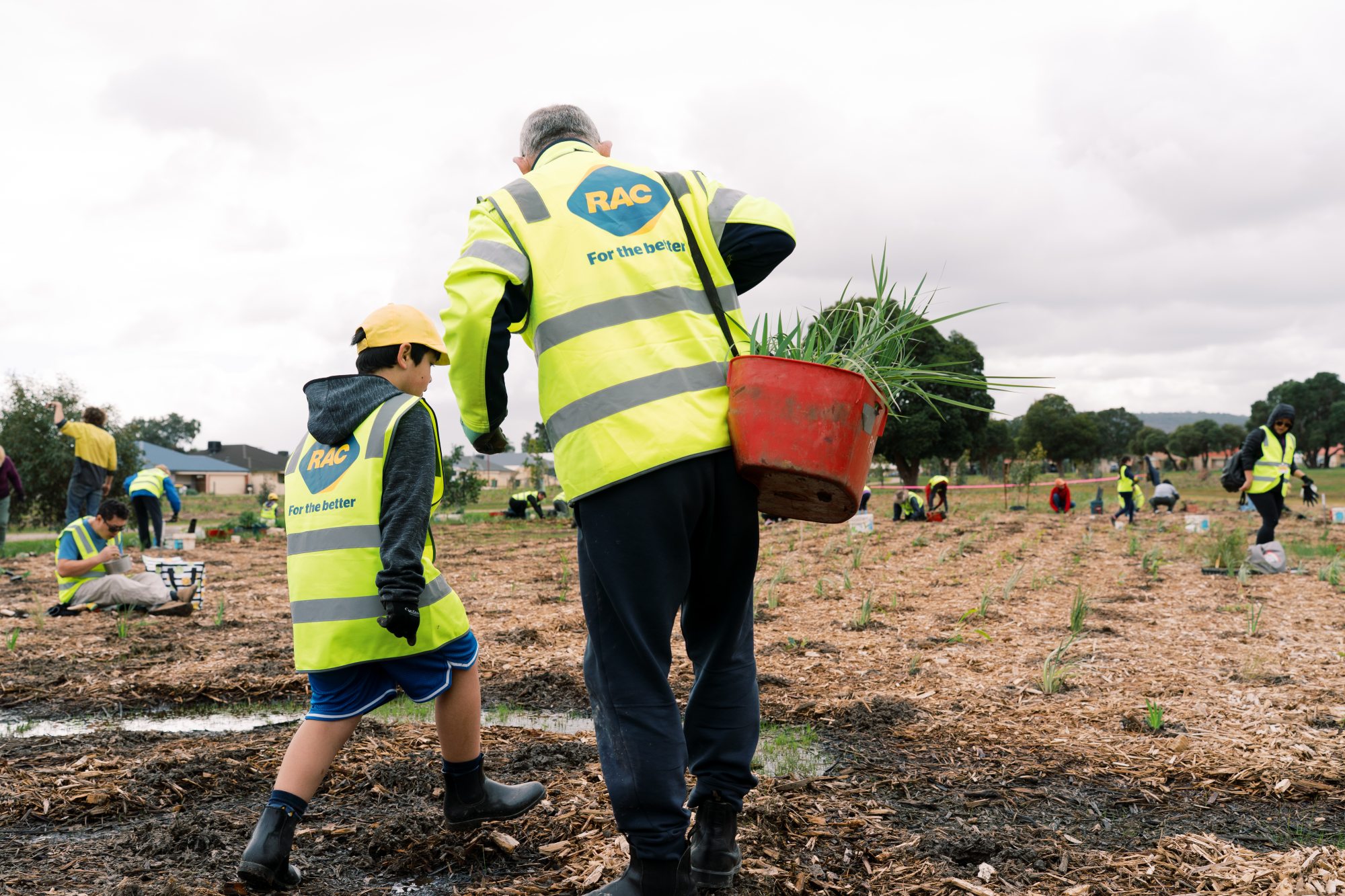 Community volunteers tree planting