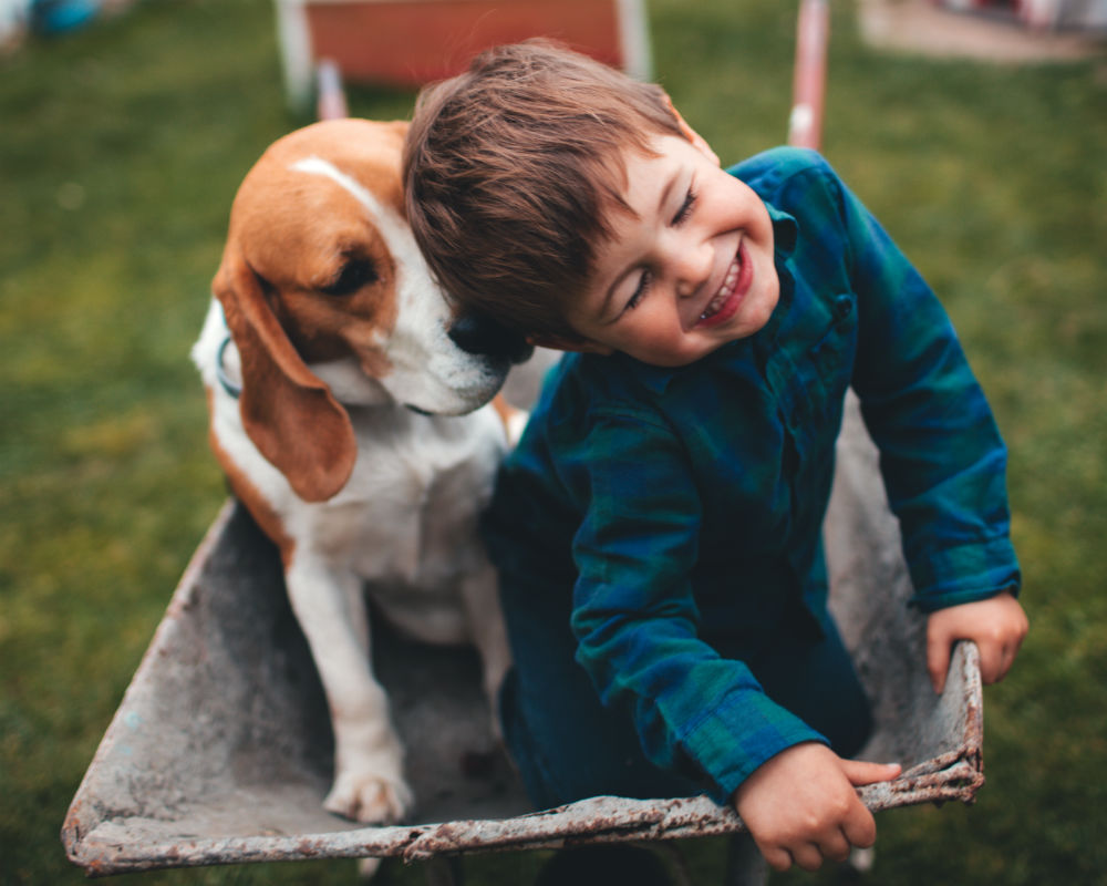 Save up to 10% on RAC Pet Insurance | RAC WA member benefits