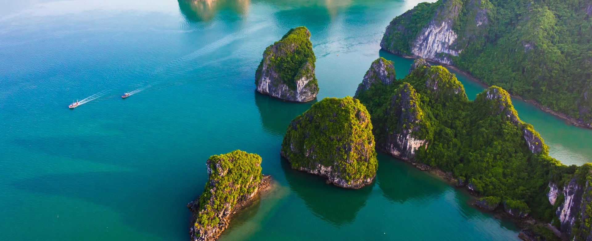 Fall in love with Vietnam | RAC WA