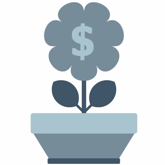 A pot plant with a flower growing, and a dollar sign in the middle
