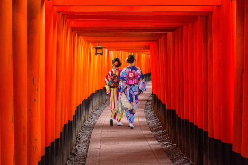 Two people wearing colorful traditional kimonos walking through a tunnel of bright red torii gates.