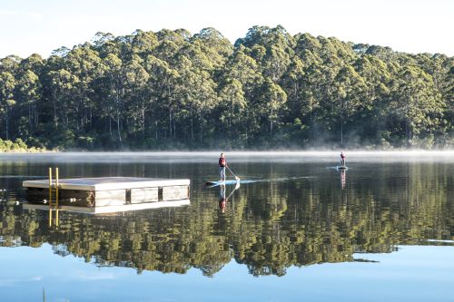 Two stand-up-paddlers paddling towards a pontoon on a serene lake surrounded by forest. 