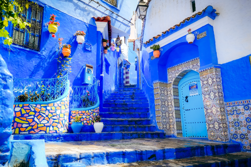 Vibrant blue-painted alley with colourful flower pots, tiled archways and steps in a traditional Moroccan town.