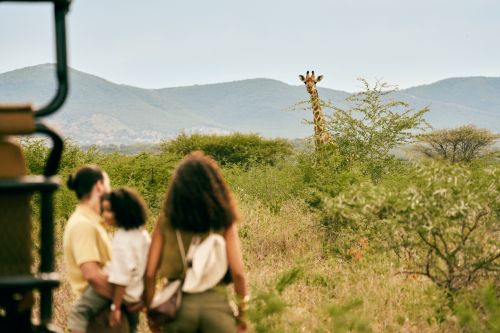 Group observing a giraffe in the wild near a safari vehicle, with rolling hills and cloudy sky in the background.