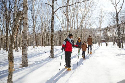 Group snowshoeing through a snowy forest on a sunny day