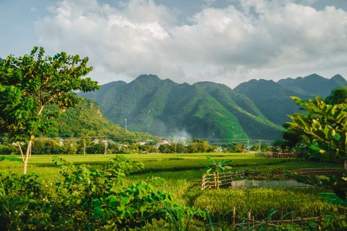 A cluster of home stay and local houses on a hillside between a green rice field and mountains.