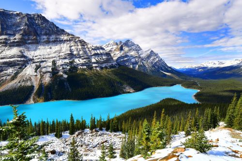 View from Bow Summit of turquoise Peyto lake in Banff National Park surrounded by mountains and lush forest.