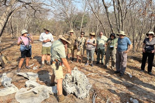 The group on a safari walk listening to the tour guide. 