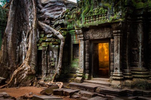 Ancient Ta Prohm temple entwined with giant tree roots