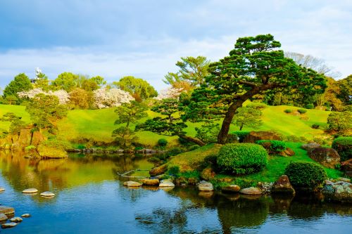Bright green lush gardens along a small river creek