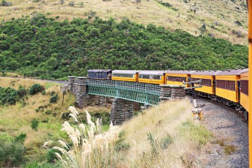 A yellow and brown train making it's way through natural greenland