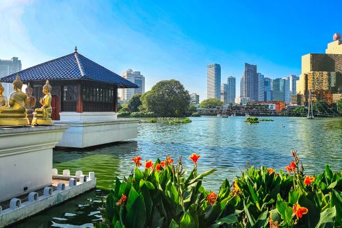 City skyline of Colombo seen across a lake, with a temple-style pavilion in the foreground and bright flowers along the water’s edge.
