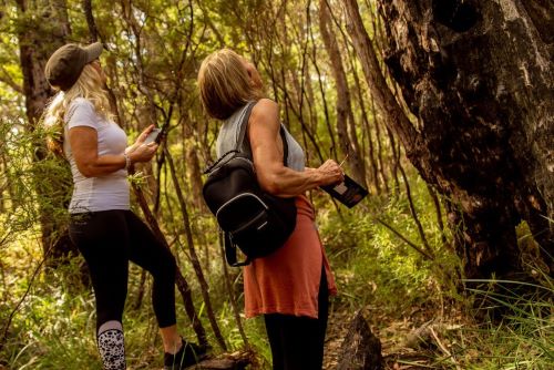Two women walking through the forest looking up to the trees