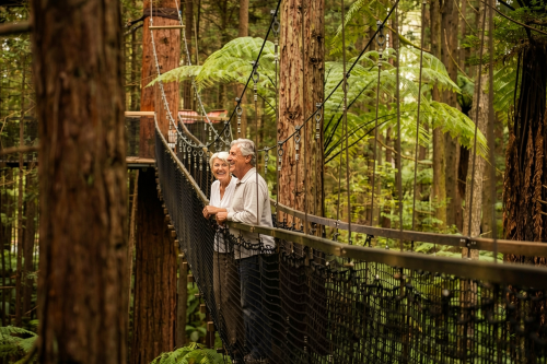 Visitors on a suspended walkway through a redwood forest