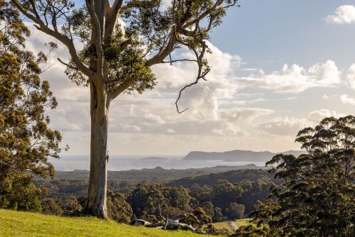 Beautiful view from the Heyscape cabin overlooking Denmark and the ocean in the background. 