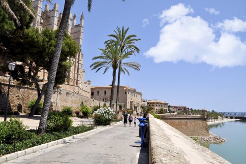 Palm-lined waterfront promenade beside historic stone buildings and fortifications.