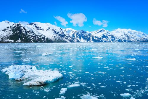 Scenic view of Glacier Bay in Alaska with floating ice chunks on the blue water and snow-covered mountains in the background