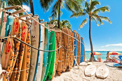 Colourful surfboards lined up on a sandy beach in Hawaii with palm trees, beach umbrellas and the ocean in the background 