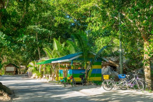 A pathway surrounded by lush green trees and a small shack with bicycles 