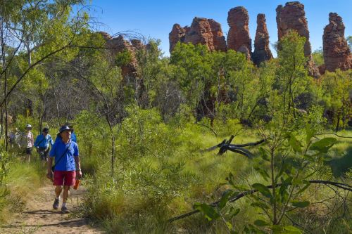 A group of travellers bushwalking in the Limmen National Park