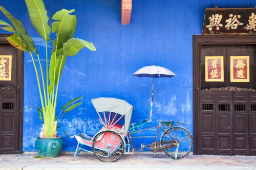 A colorful trishaw parked against a bright blue wall beside a large potted plant