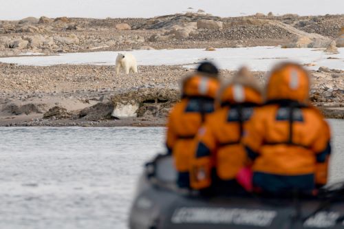People on a zodiac boat wearing life jackets looking at a polar bear in the distance
