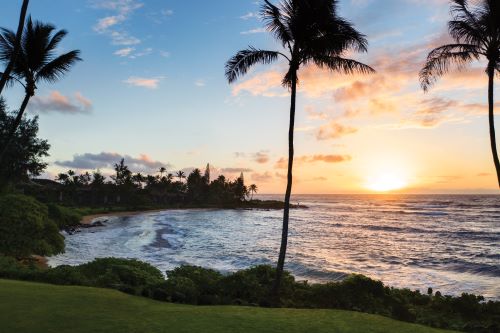 Tall palmtrees along the shore where the sun is setting over the ocean