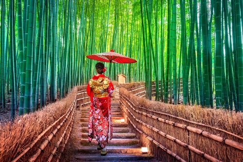 Bright green tall bamboo forest with a geisha walking along the pathway holding a red parasol
