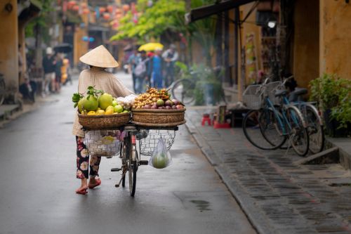 Street vendor pushing a bicycle loaded with baskets of fresh fruit along a narrow, lantern-lined street