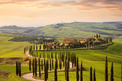 A scenic road lined with tall skinny cypress trees winding through Tuscany's green hills and quaint villages 