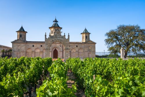 A Chateaux in France with lush green vineyards in a line leading up to it 