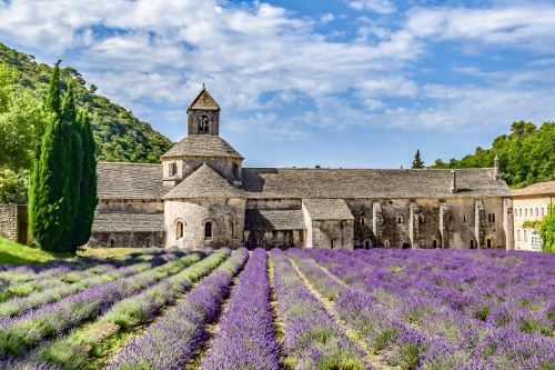 A historic building in the South of France with bright purple lavendar fields leading up to it 
