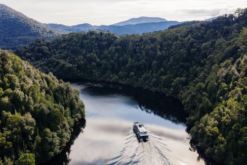 A boat cruising down Gordon River surrounded by lush forest 