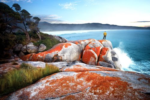 A person in a yellow jacket stands on orange‑lichen covered rocks above a blue ocean, with waves breaking and a distant, misty shoreline under a clear sky.