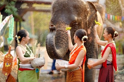 Three Thai women in traditional Thai dresses feeding Elephants at an Elephant sanctuary