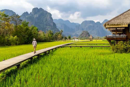 Wooden path leading through green rice fields with rugged mountains in the background