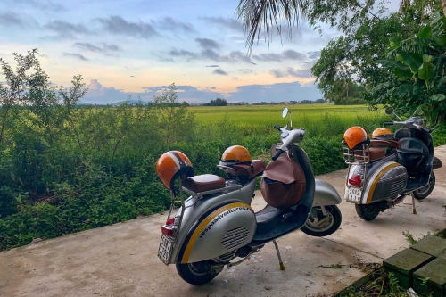 Two scooters with orange helmets parked beside a green rice field at sunset.